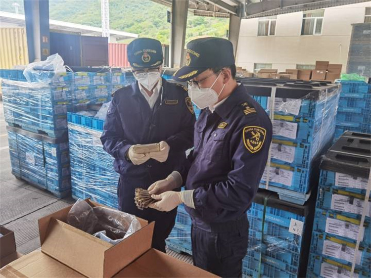 Promovarea comerţului exterior pentru a asigura stabilitatea şi îmbunătăţirea calităţii Vamale Ningbo a emis 20 de măsuri 