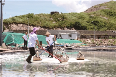 Primul din provincie! Xiangshan Gaotang Island oraș sarea de mare de uscare non-genetic purtare institut deschis