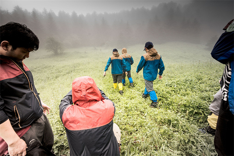 Ce este SURVIVA Wilderness Survival?